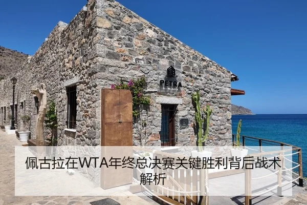 佩古拉在WTA年终总决赛关键胜利背后战术解析